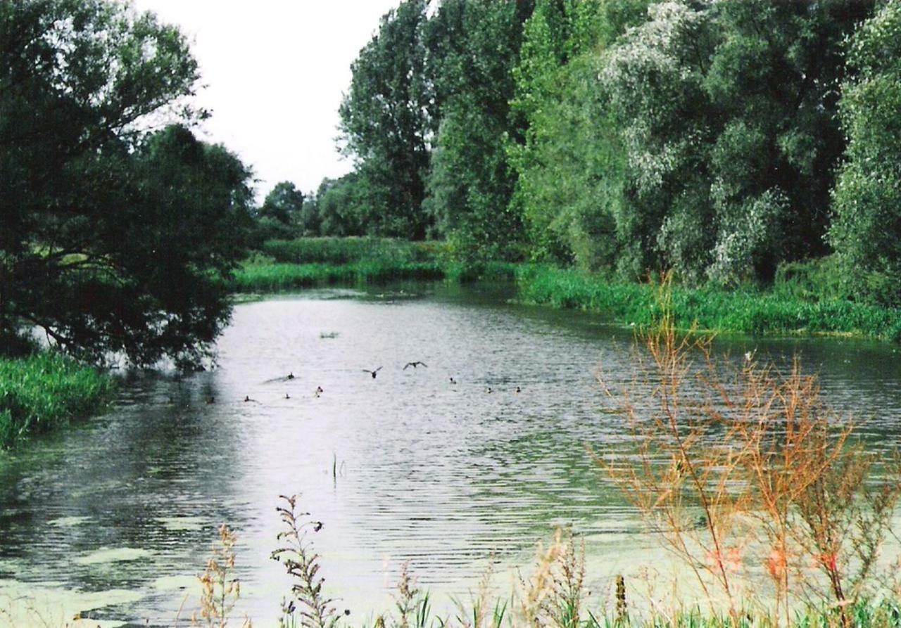 Star Camp Cosa, Ferienwohnungen, Camping, Schlaffaesser Friedland  Екстериор снимка